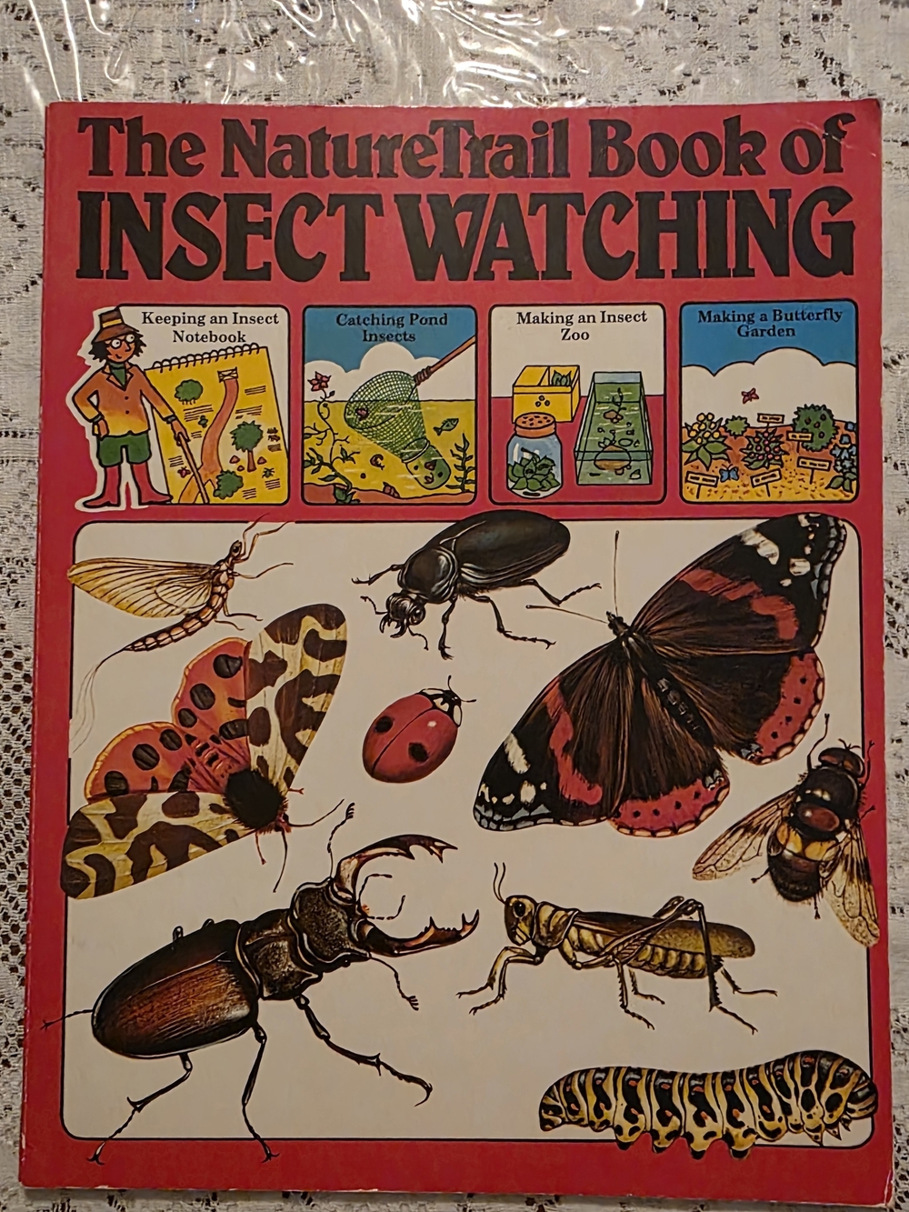 Vintage Usborne The NatureTrail Book Of Insect Watching Educational